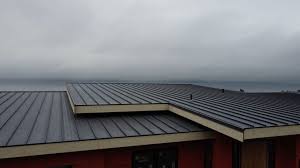 Best Rubber Roofing (EPDM, TPO)  in Becker, MN